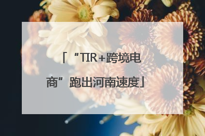 “TIR+跨境电商”跑出河南速度