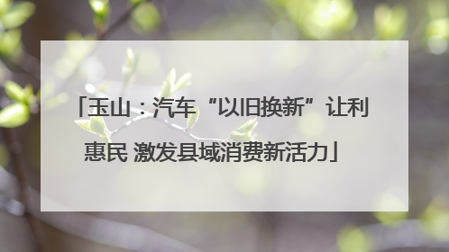 玉山：汽车“以旧换新”让利惠民 激发县域消费新活力