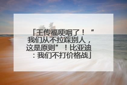 王传福哽咽了！“我们从不拉踩别人，这是原则”！比亚迪：我们不打价格战