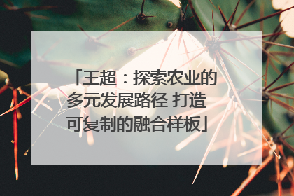 王超：探索农业的多元发展路径 打造可复制的融合样板