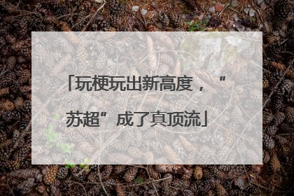 玩梗玩出新高度，“苏超”成了真顶流