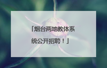 烟台两地教体系统公开招聘！