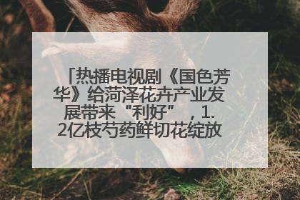 热播电视剧《国色芳华》给菏泽花卉产业发展带来“利好”，1.2亿枝芍药鲜切花绽放“国色芳华”