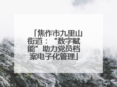 焦作市九里山街道：“数字赋能”助力党员档案电子化管理