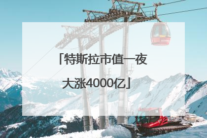 特斯拉市值一夜大涨4000亿