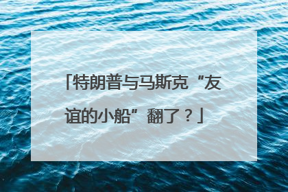特朗普与马斯克“友谊的小船”翻了？