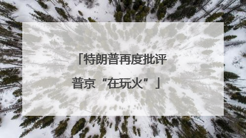 特朗普再度批评普京“在玩火”