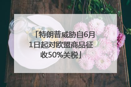 特朗普威胁自6月1日起对欧盟商品征收50%关税