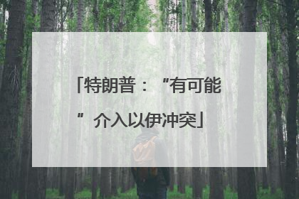 特朗普：“有可能”介入以伊冲突