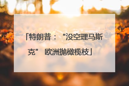 特朗普：“没空理马斯克” 欧洲抛橄榄枝