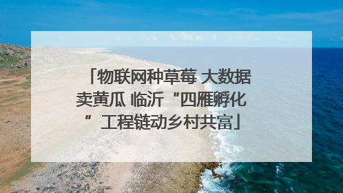 物联网种草莓 大数据卖黄瓜 临沂“四雁孵化”工程链动乡村共富