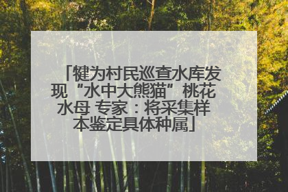 犍为村民巡查水库发现“水中大熊猫”桃花水母 专家：将采集样本鉴定具体种属
