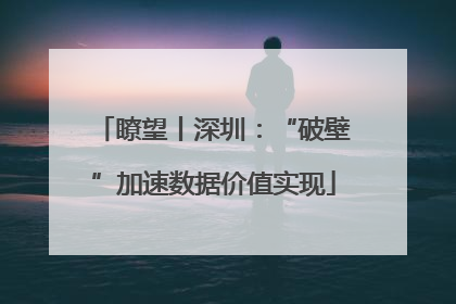 瞭望丨深圳：“破壁”加速数据价值实现