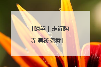瞭望｜走近陶寺 寻迹尧舜