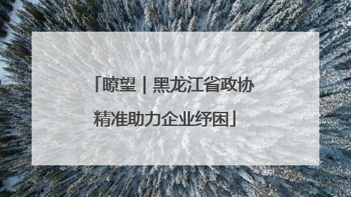 瞭望｜黑龙江省政协精准助力企业纾困