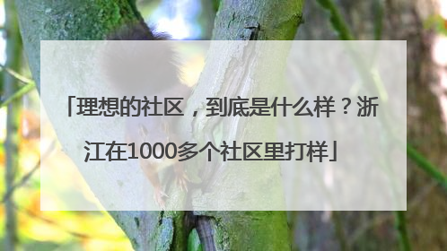 理想的社区，到底是什么样？浙江在1000多个社区里打样