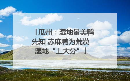 瓜州：湿地景美鸭先知 赤麻鸭为荒漠湿地“上大分”