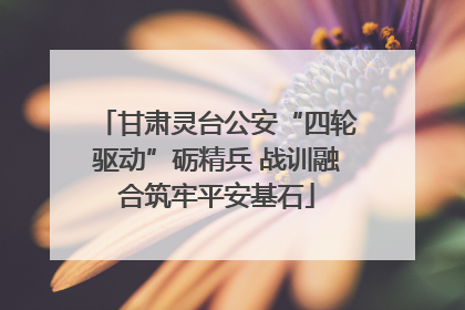 甘肃灵台公安“四轮驱动”砺精兵 战训融合筑牢平安基石