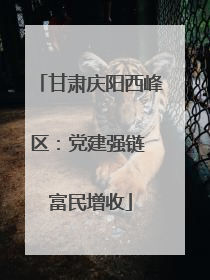 甘肃庆阳西峰区：党建强链 富民增收