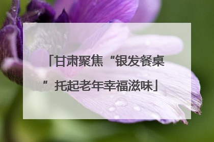 甘肃聚焦“银发餐桌”托起老年幸福滋味