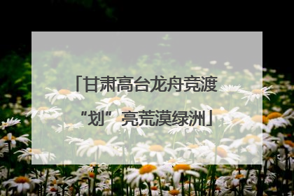 甘肃高台龙舟竞渡“划”亮荒漠绿洲