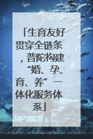 生育友好贯穿全链条，普陀构建“婚、孕、育、养”一体化服务体系