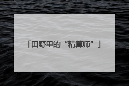 田野里的“精算师”