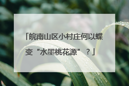 皖南山区小村庄何以蝶变“水墨桃花源”？