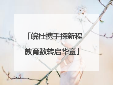皖桂携手探新程 教育数转启华章