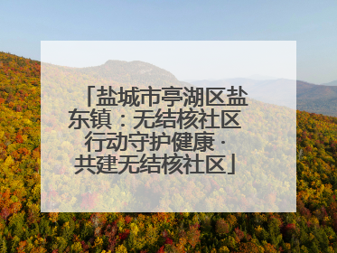 盐城市亭湖区盐东镇：无结核社区行动守护健康 ·共建无结核社区