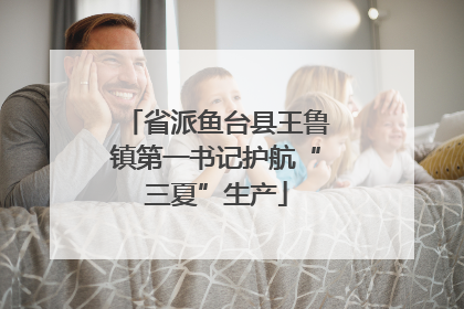省派鱼台县王鲁镇第一书记护航“三夏”生产