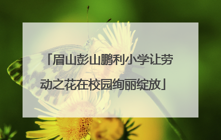 眉山彭山鹏利小学让劳动之花在校园绚丽绽放