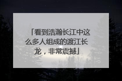 看到浩瀚长江中这么多人组成的渡江长龙，非常震撼