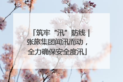 筑牢“汛”防线｜张旅集团闻汛而动，全力确保安全度汛