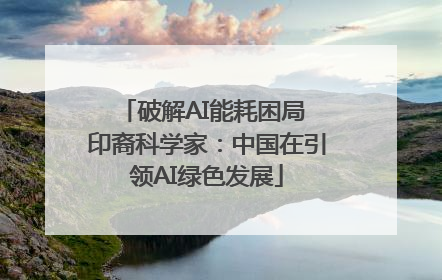 破解AI能耗困局 印裔科学家：中国在引领AI绿色发展