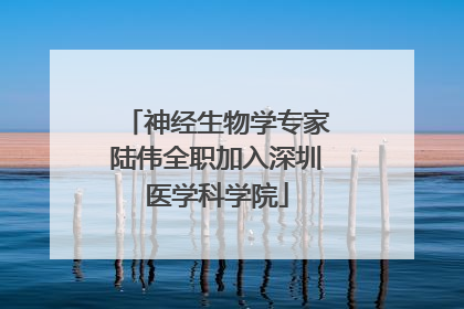 神经生物学专家陆伟全职加入深圳医学科学院