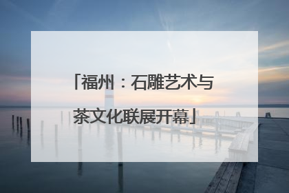 福州：石雕艺术与茶文化联展开幕