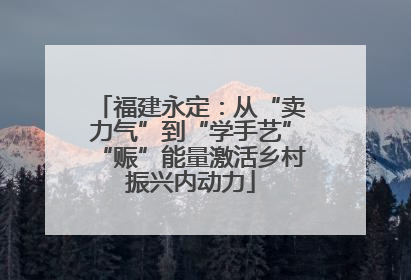 福建永定：从“卖力气”到“学手艺”“赈”能量激活乡村振兴内动力