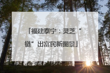 福建泰宁：灵芝“链”出富民新图景