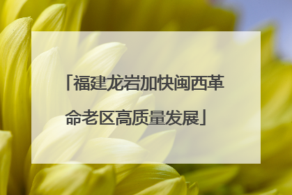 福建龙岩加快闽西革命老区高质量发展