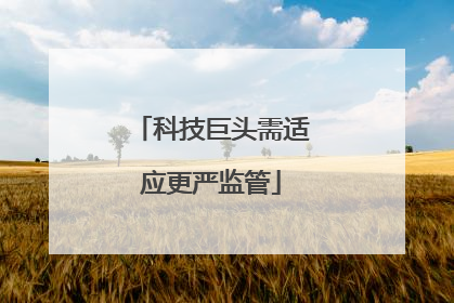 科技巨头需适应更严监管