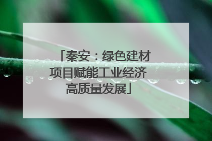 秦安：绿色建材项目赋能工业经济高质量发展