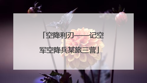 空降利刃——记空军空降兵某旅三营