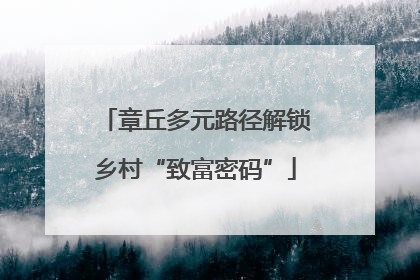 章丘多元路径解锁乡村“致富密码”