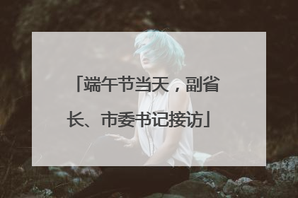 端午节当天，副省长、市委书记接访