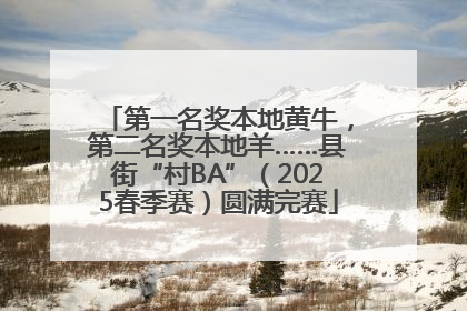 第一名奖本地黄牛，第二名奖本地羊……县街“村BA”（2025春季赛）圆满完赛
