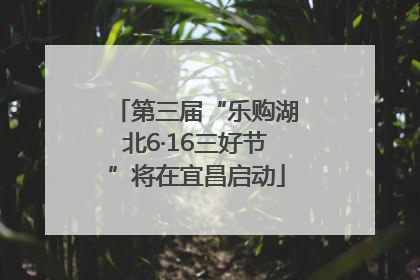 第三届“乐购湖北6·16三好节”将在宜昌启动
