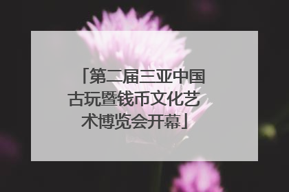 第二届三亚中国古玩暨钱币文化艺术博览会开幕