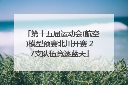 第十五届运动会(航空)模型预赛北川开赛 27支队伍竞逐蓝天