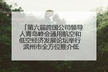 第六届跨国公司领导人青岛峰会通用航空和低空经济发展论坛举行 滨州市全方位推介低空经济发展优势